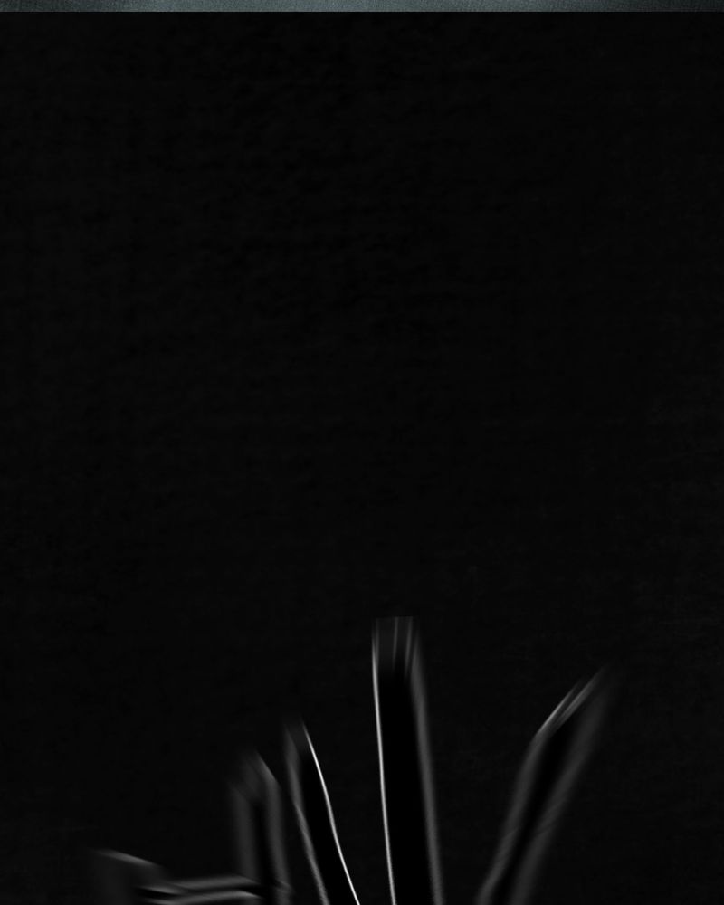 1995年成都的僵尸事件是怎么回事漫画,第54章：最终篇（下）2图