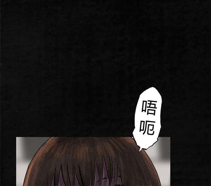 成都1995年经济状况漫画,第13章：大将军到此5图