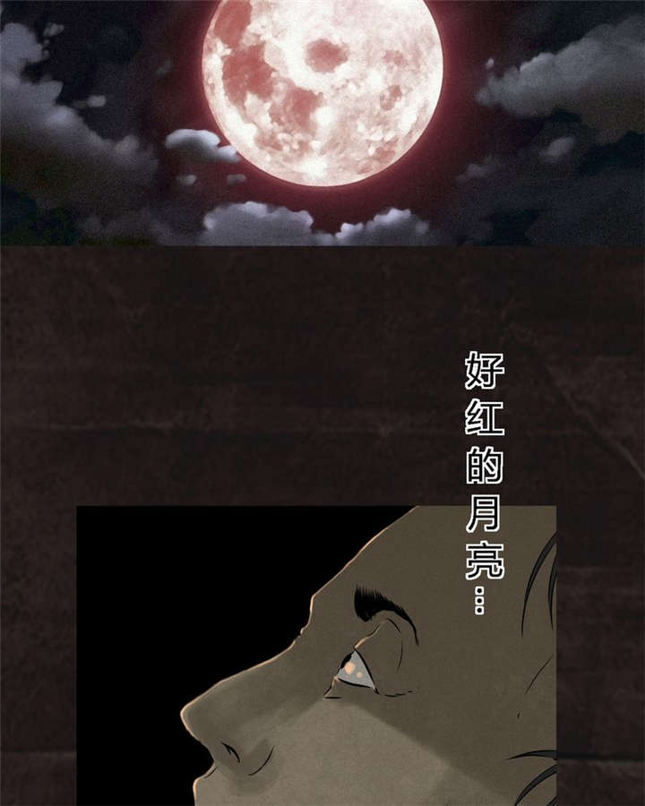 成都1995照片漫画,第25章：药丸1图