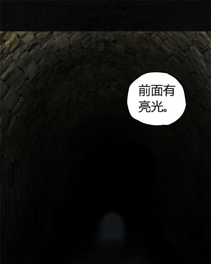 成都1995真实事件漫画,第39章：回到地面？1图