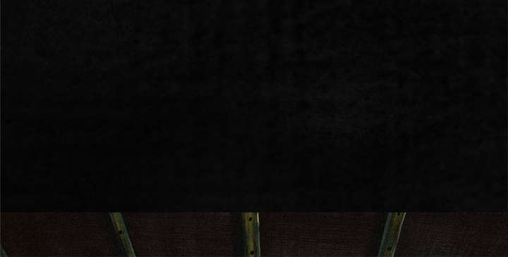 成都1995年事件是真的吗漫画,第6章：特强三鞭丸3图