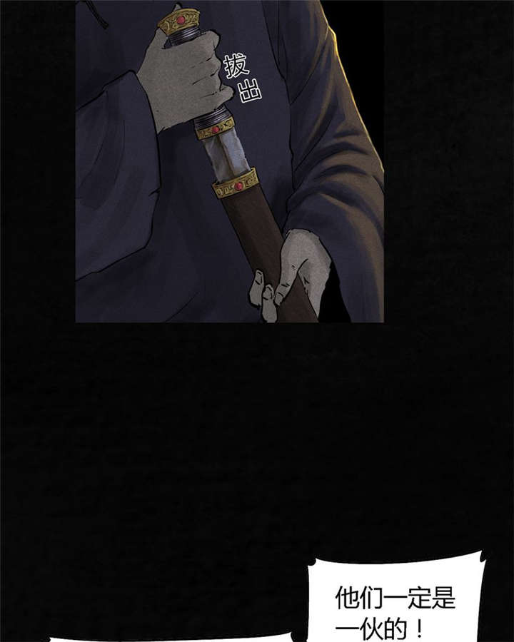 1995年成都的僵尸事件是怎么回事漫画,第42章：祭司5图