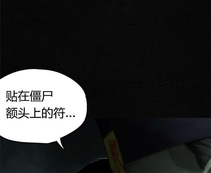 1995年成都的僵尸事件是怎么回事漫画,第49章：二十二年后5图