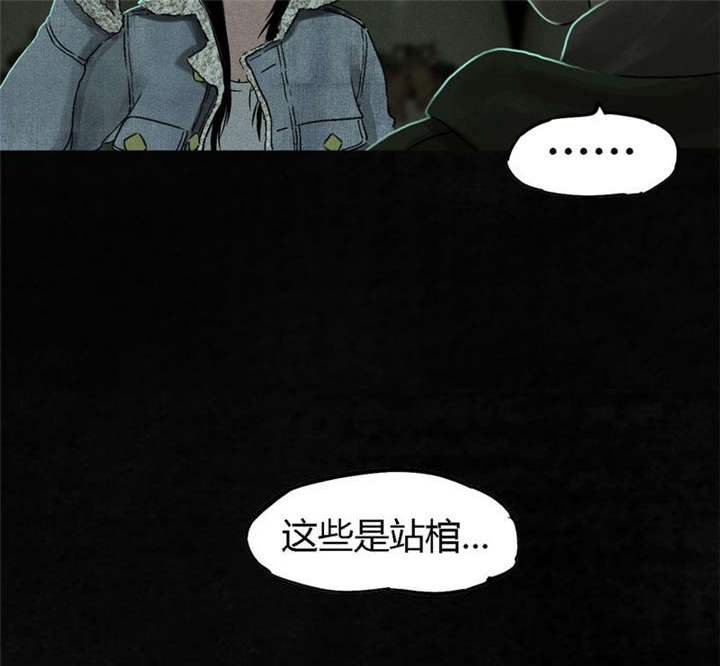 1995年成都的僵尸事件是怎么回事漫画,第49章：二十二年后2图