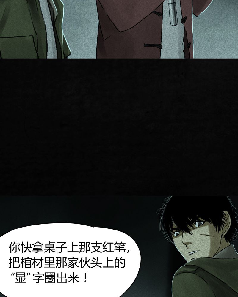 1995年成都的僵尸事件是怎么回事漫画,第54章：最终篇（下）5图