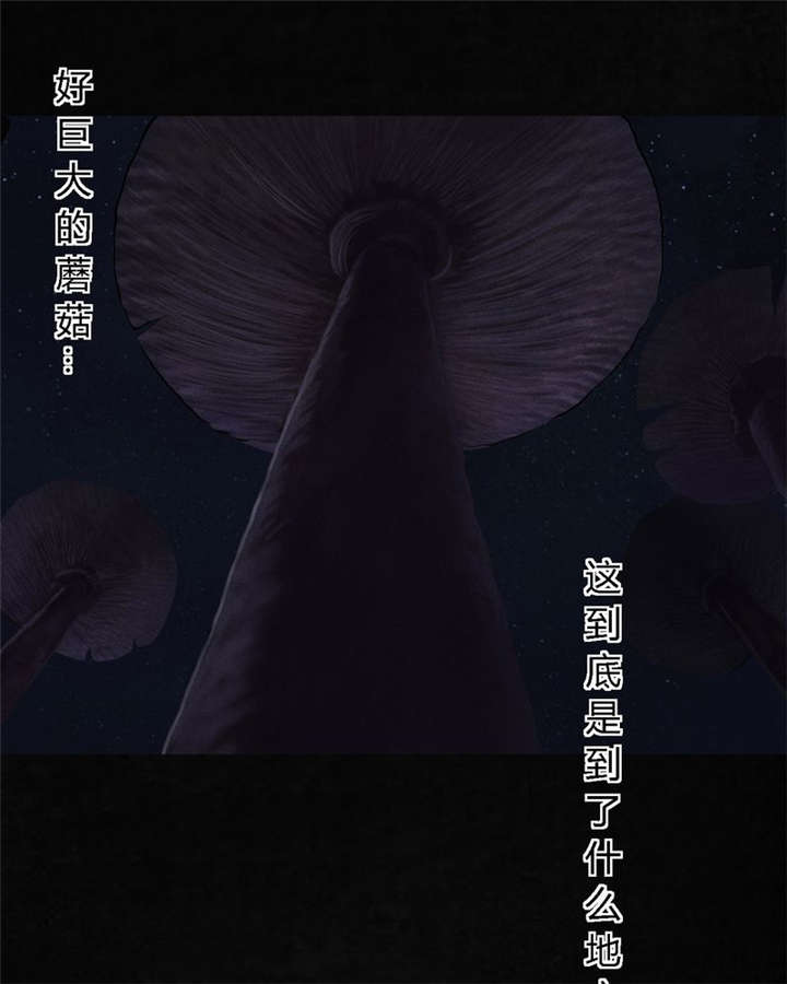 成都1995年社保基数漫画,第41章：这里也有···5图