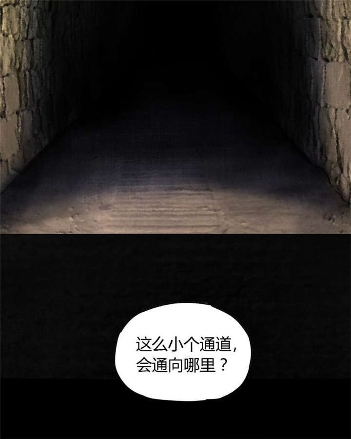 成都1995真实事件漫画,第39章：回到地面？4图