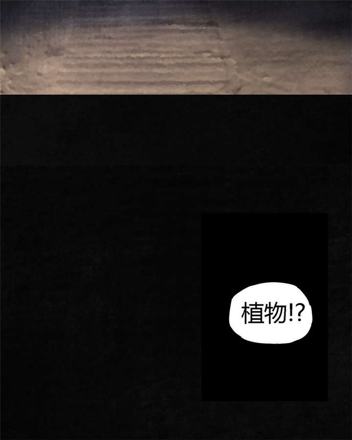 成都1995真实事件漫画,第39章：回到地面？4图