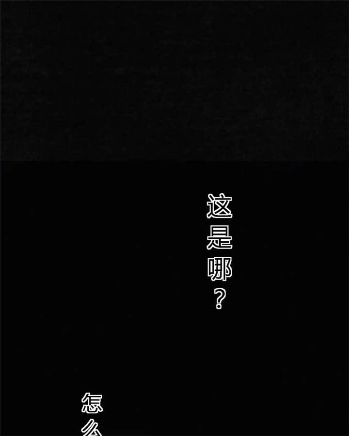 成都1995漫画,第39章：回到地面？3图