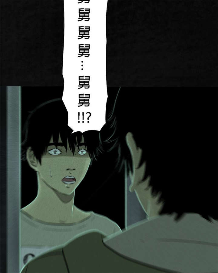 成都1995真实事件漫画,第24章：公元1862年5图