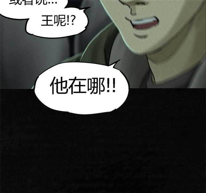 1995年成都的僵尸事件是怎么回事漫画,第49章：二十二年后5图