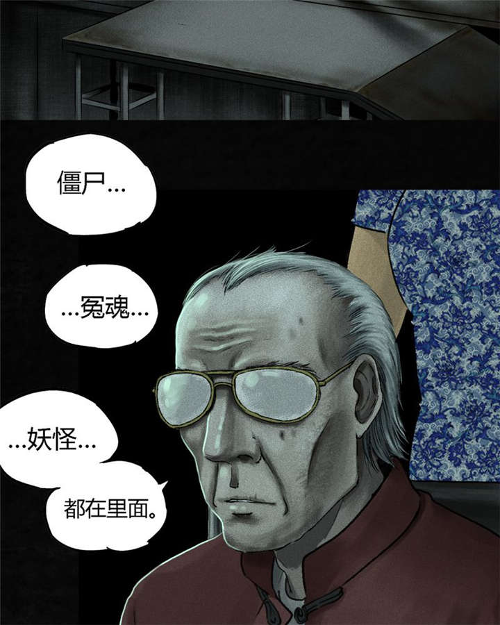 1995年成都的僵尸事件是怎么回事漫画,第49章：二十二年后1图