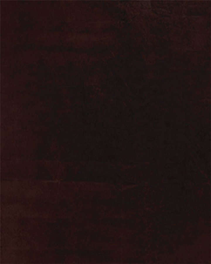 成都1995年记忆漫画,第8章：抹不去的伤痕（上）2图