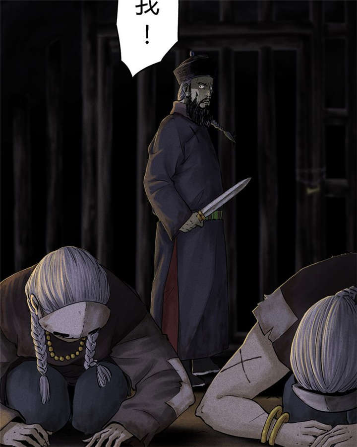 1995年成都的僵尸事件是怎么回事漫画,第42章：祭司5图