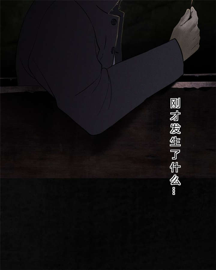 成都1995真实事件漫画,第39章：回到地面？1图