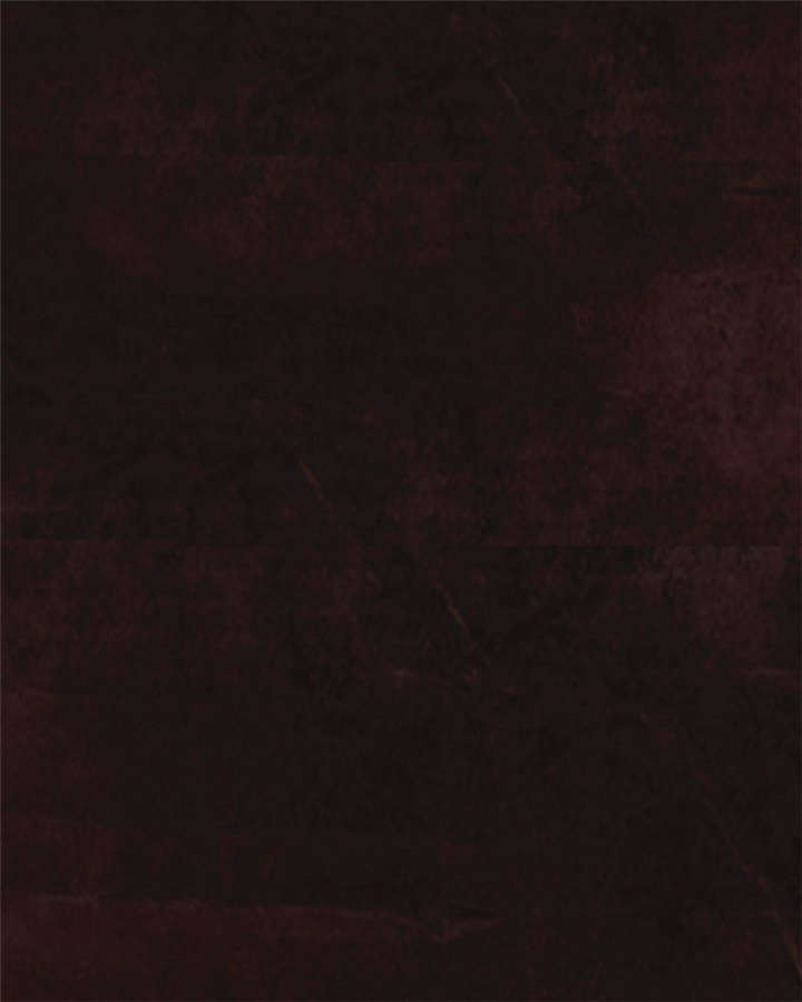 成都1995年事件是真的吗漫画,第8章：抹不去的伤痕（上）4图