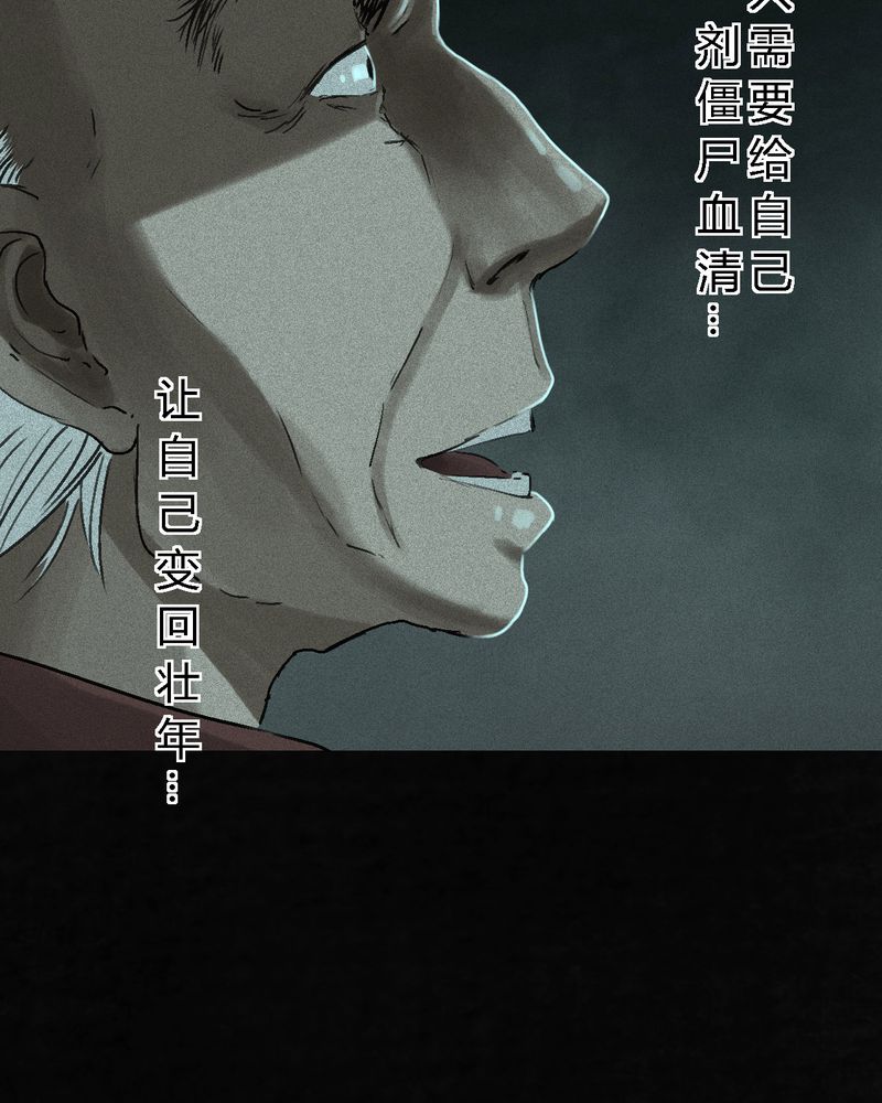 1995年成都的僵尸事件是怎么回事漫画,第54章：最终篇（下）4图