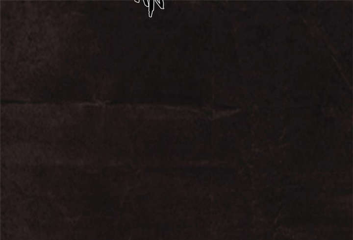 成都1995真实事件漫画,第28章：林福忠4图