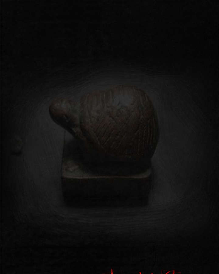 1995年成都的僵尸事件是怎么回事漫画,第36章：Mr.王1图