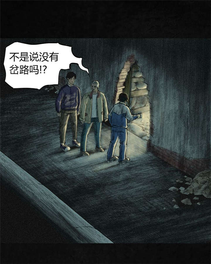 成都1995年事件是真的吗漫画,第1章：下水道美人鱼2图