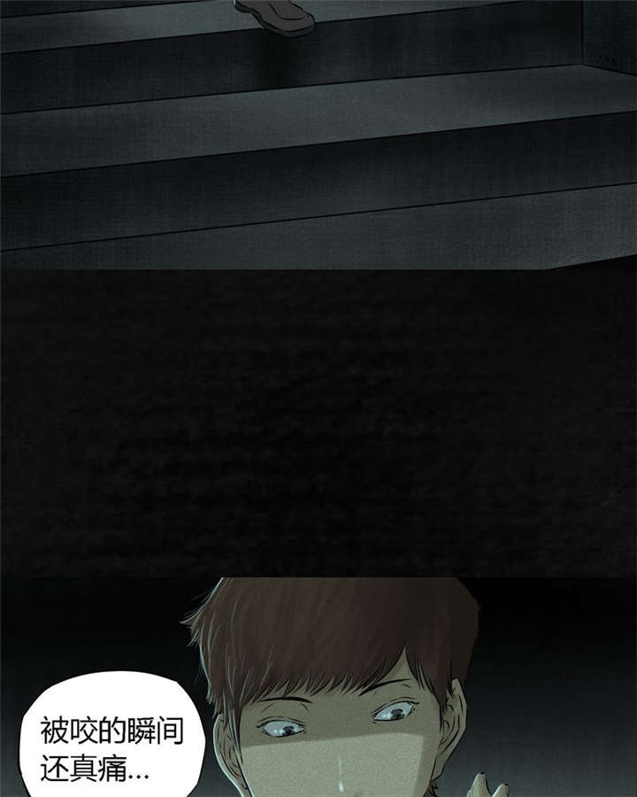 成都1995真实事件漫画,第21章：罗盘3图