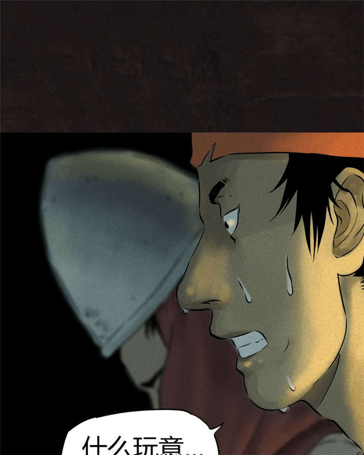 1995年成都的僵尸事件是怎么回事漫画,第27章：变3图