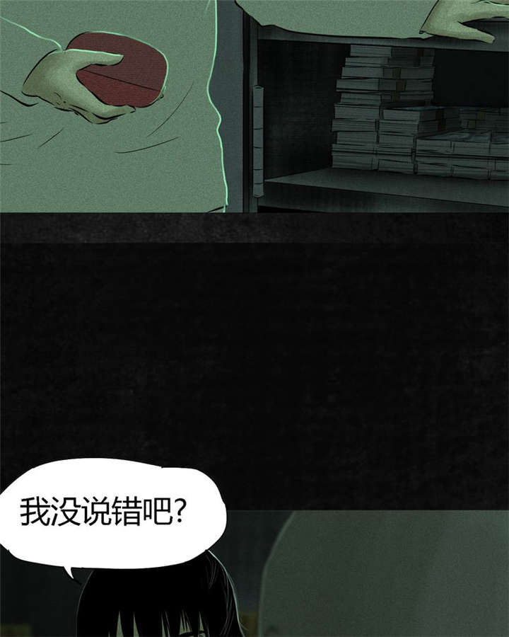 成都1995漫画,第23章：欧海平的选择3图