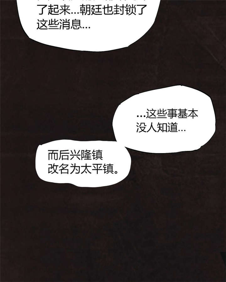 1995年成都的僵尸事件是怎么回事漫画,第29章：面具5图