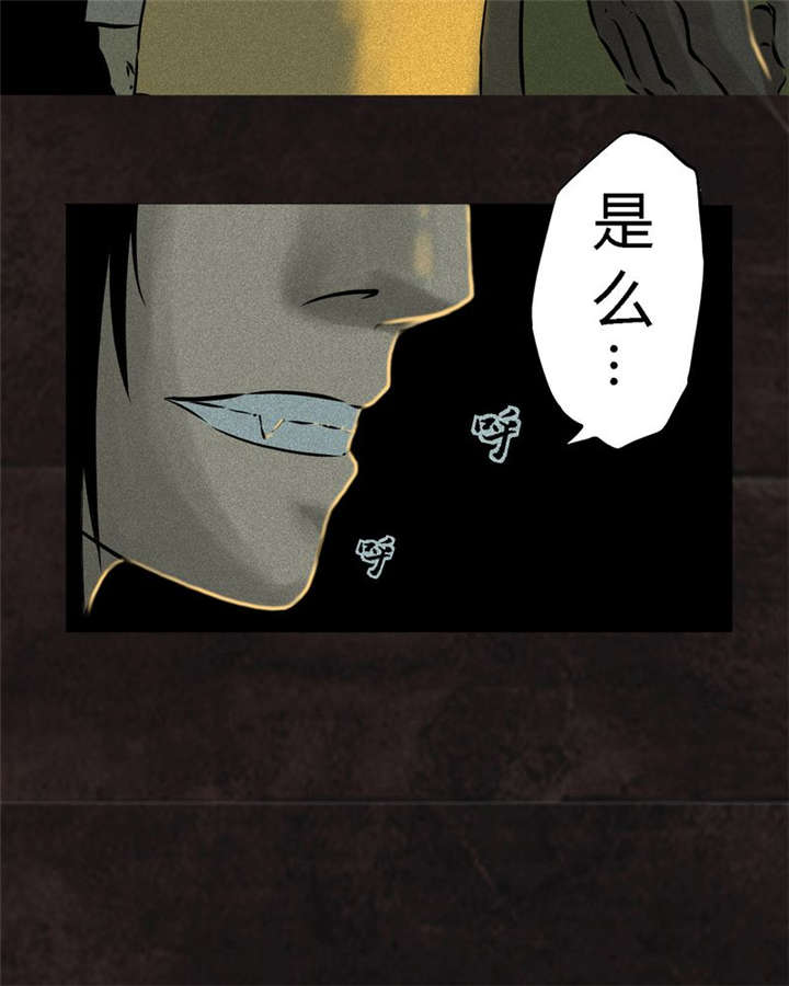 1995僵尸案件解说现场图片漫画,第27章：变3图