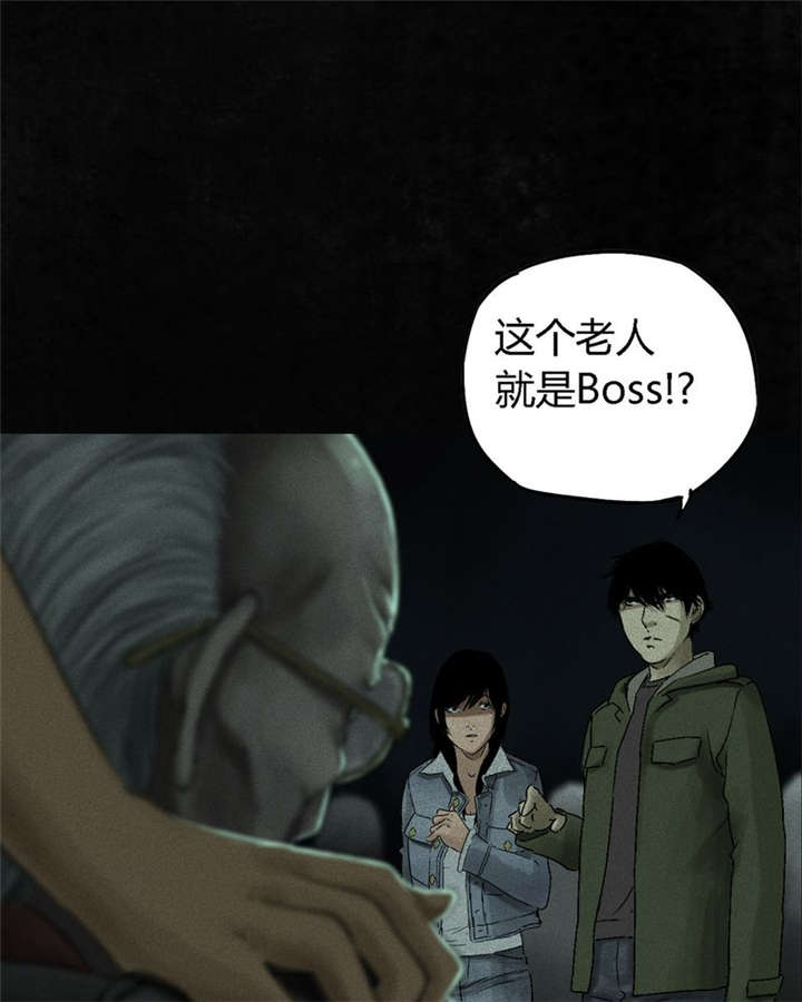 1995年成都的僵尸事件是怎么回事漫画,第49章：二十二年后2图