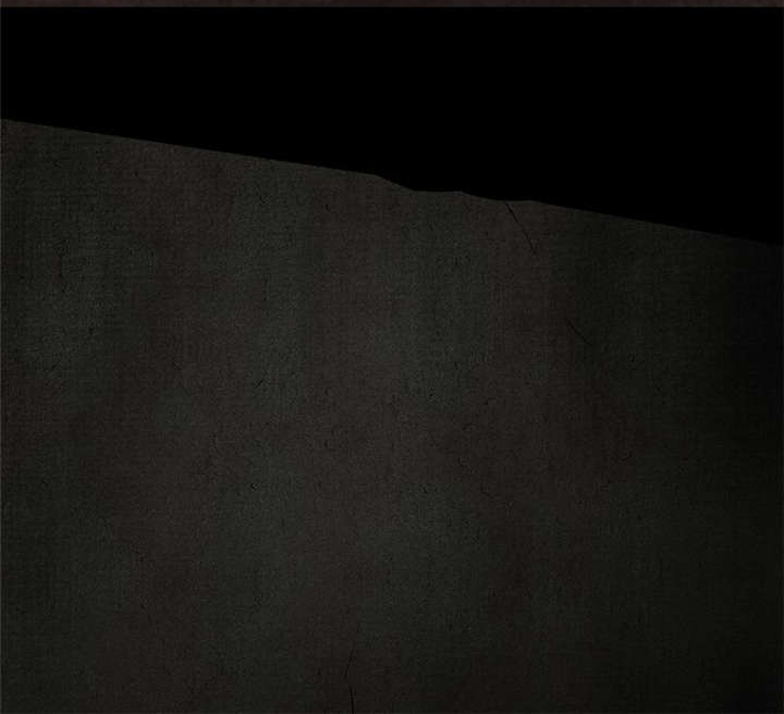 1995年成都的僵尸事件是怎么回事漫画,第27章：变4图