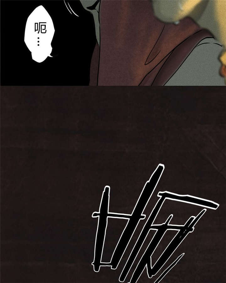 1995年成都的僵尸事件是怎么回事漫画,第27章：变5图