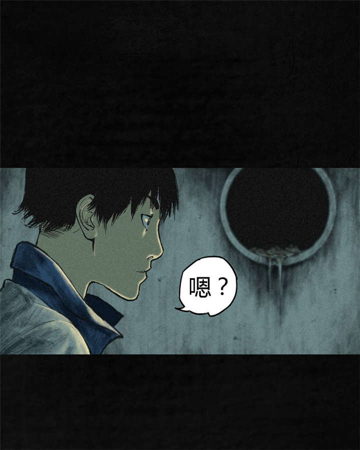 成都1995年事件是真的吗漫画,第1章：下水道美人鱼5图