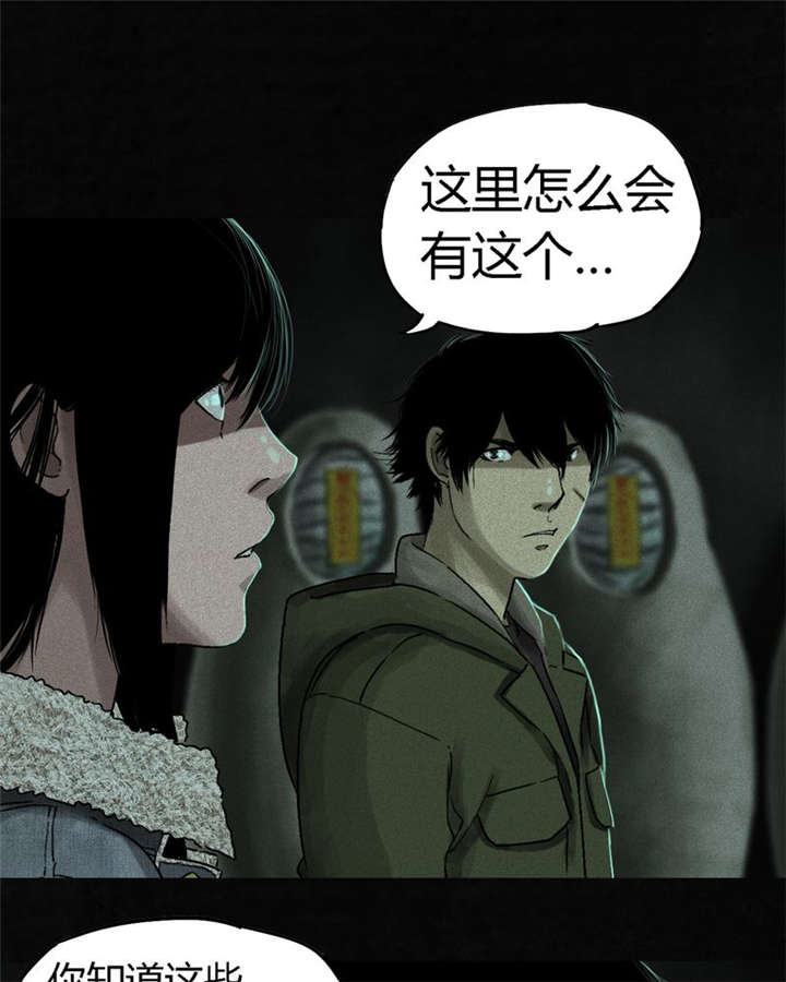 1995年成都的僵尸事件是怎么回事漫画,第49章：二十二年后4图