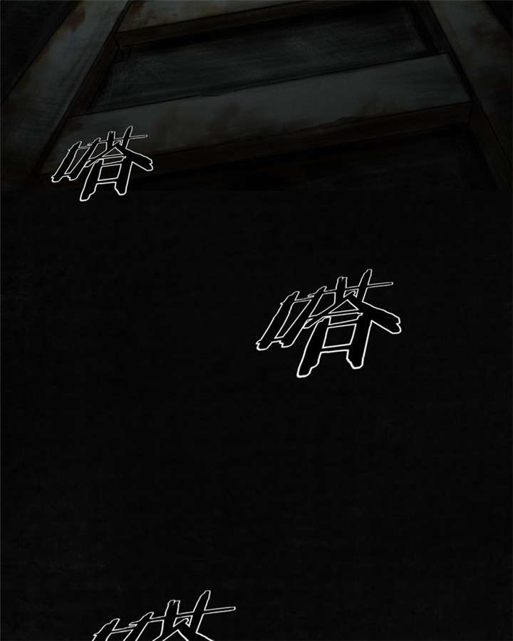 成都1995年经济状况漫画,第45章：陆离1图