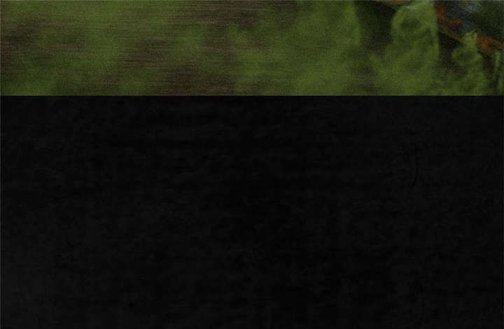 1995年成都的僵尸事件是怎么回事漫画,第7章：潜在的危机4图