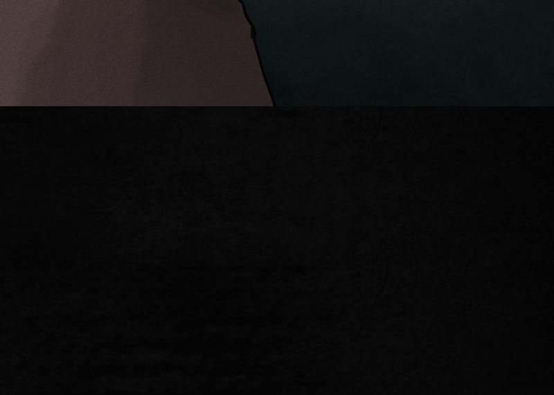 1995年成都的僵尸事件是怎么回事漫画,第54章：最终篇（下）5图