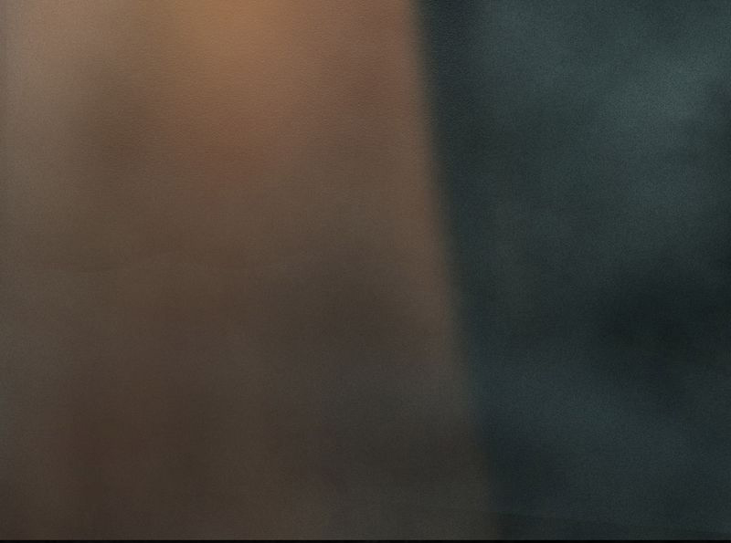 1995年成都的僵尸事件是怎么回事漫画,第54章：最终篇（下）3图