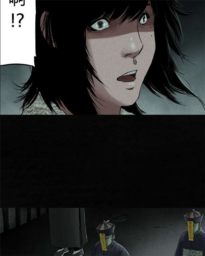 1995年成都的僵尸事件是怎么回事漫画,第49章：二十二年后4图