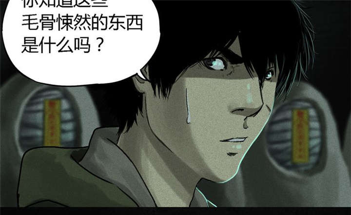 1995年成都的僵尸事件是怎么回事漫画,第49章：二十二年后5图