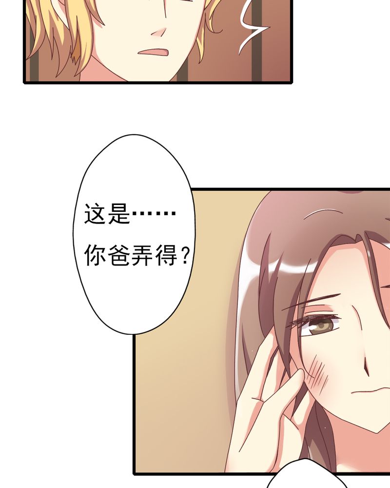 试婚热恋99天漫画,第5章：叶家状况不好1图