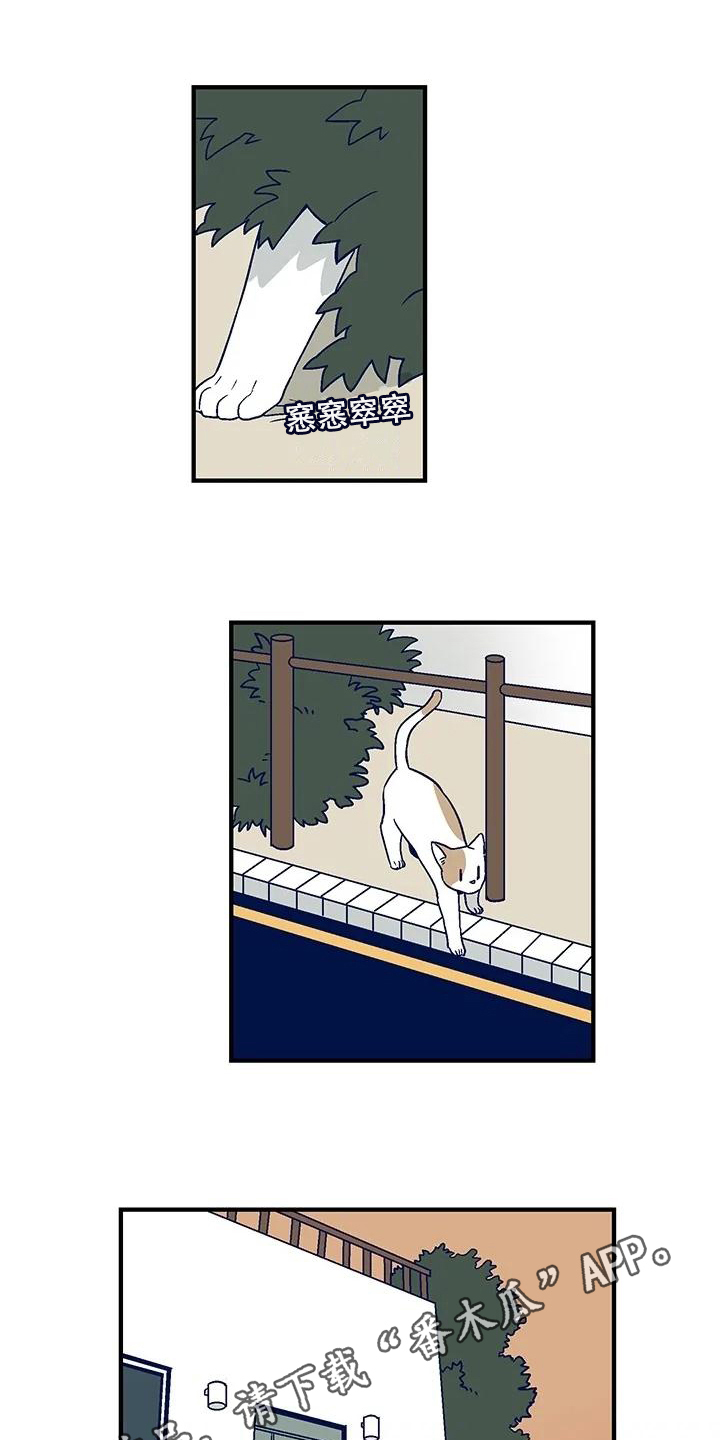 第30章：离家出走0