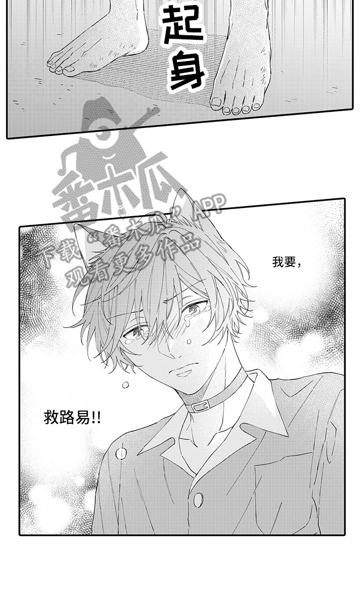 猫咪之家漫画,第18章：受伤了3图