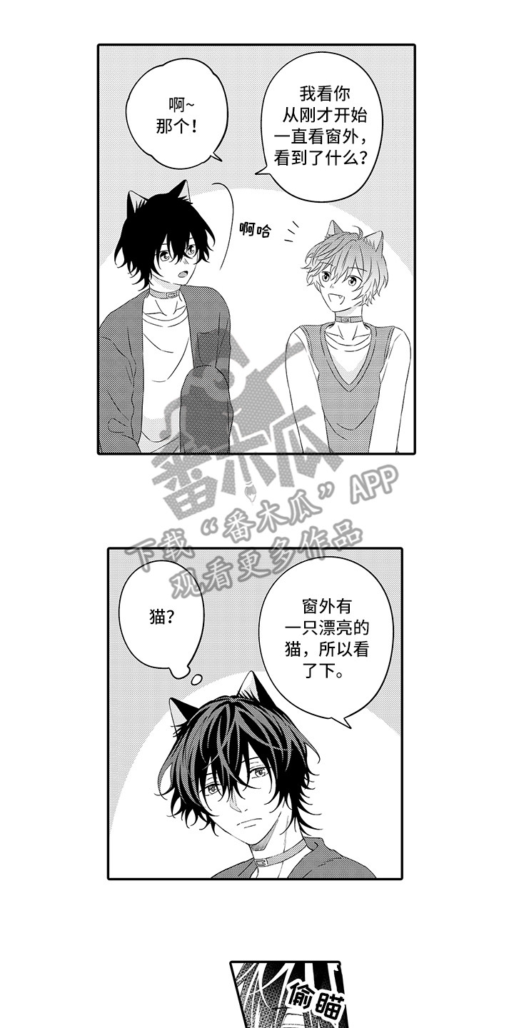 猫咪之家漫画,第22章：新家1图