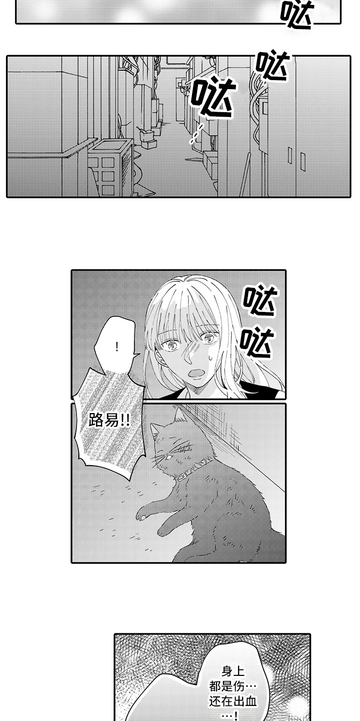 猫咪之家漫画,第20章：求救4图