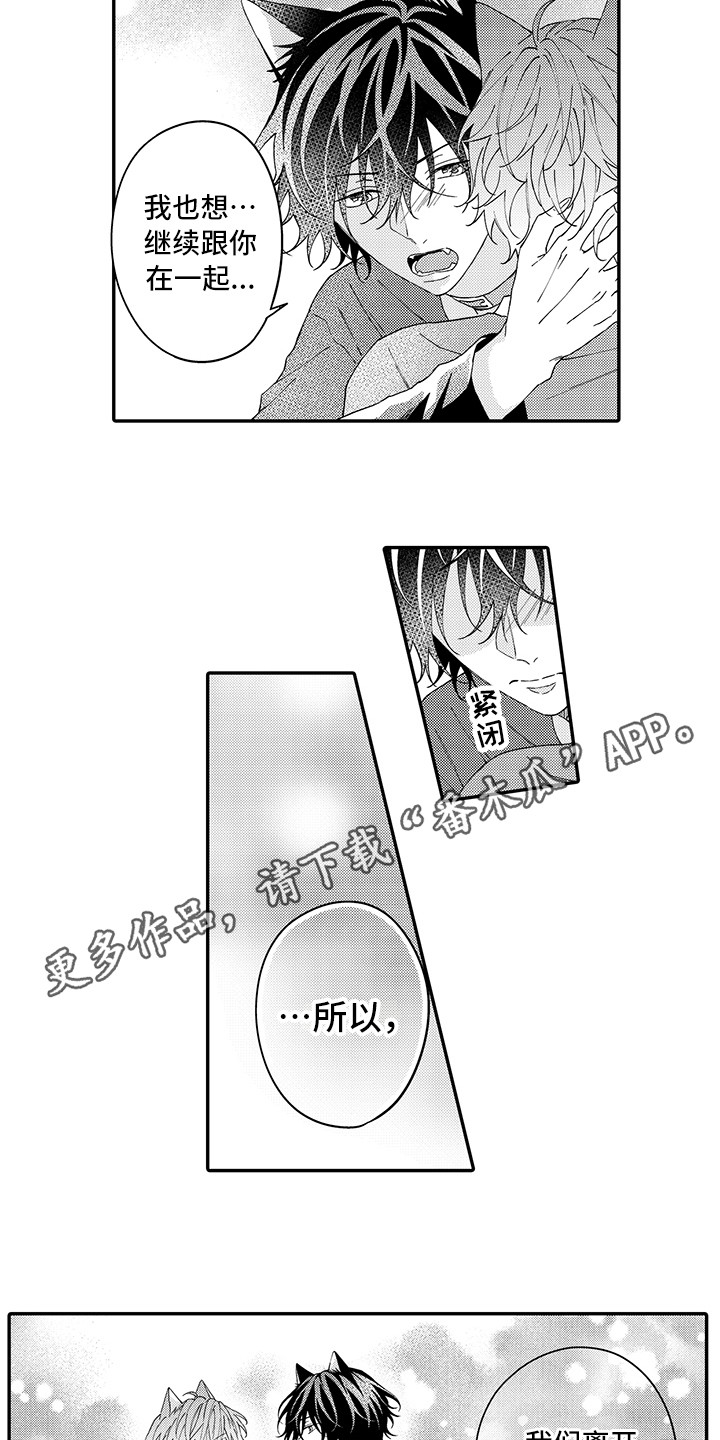 猫咪之家漫画,第16章：私奔2图