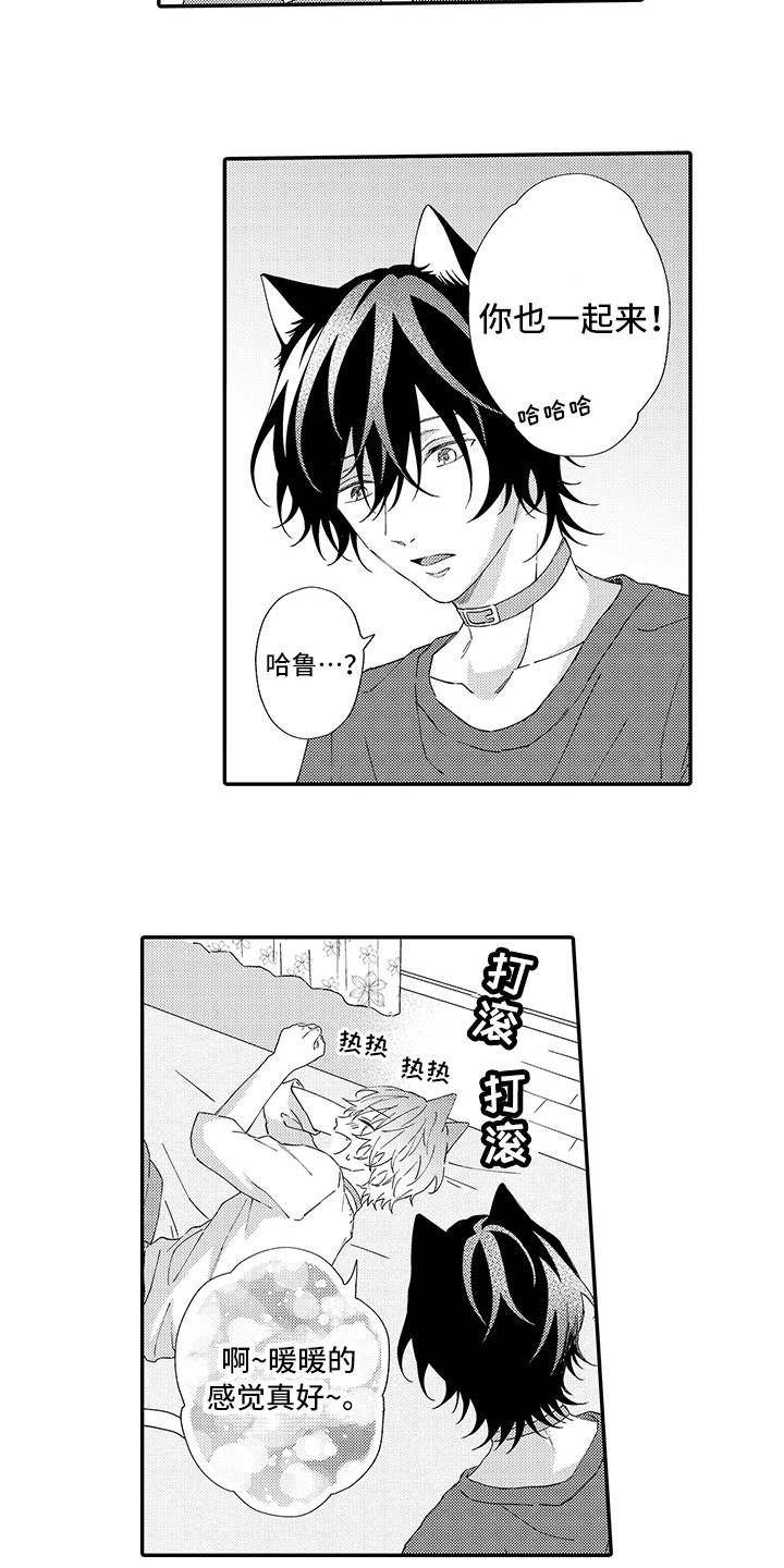 猫咪之家漫画,第6章：笑容5图