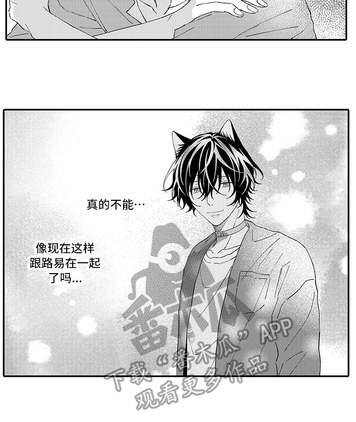 猫咪之家漫画,第15章：坏消息3图