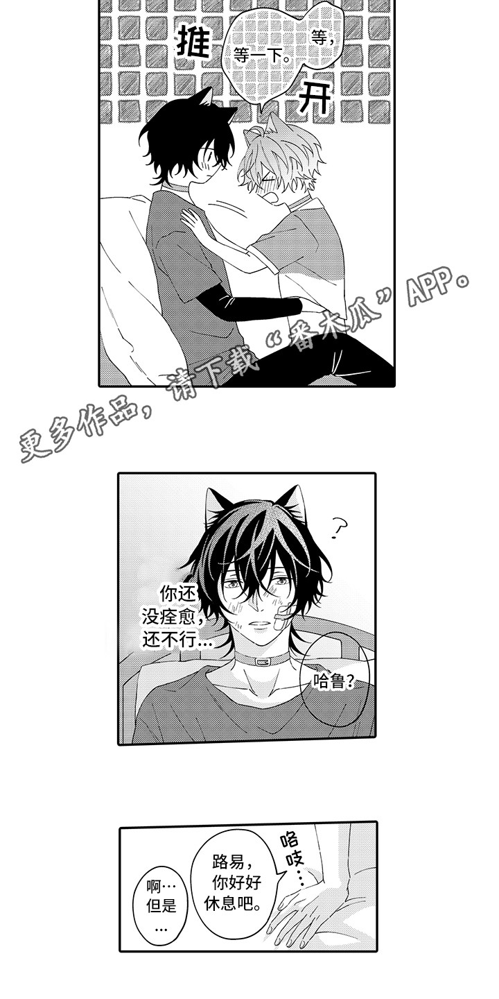 猫咪之家漫画,第21章：下决心3图