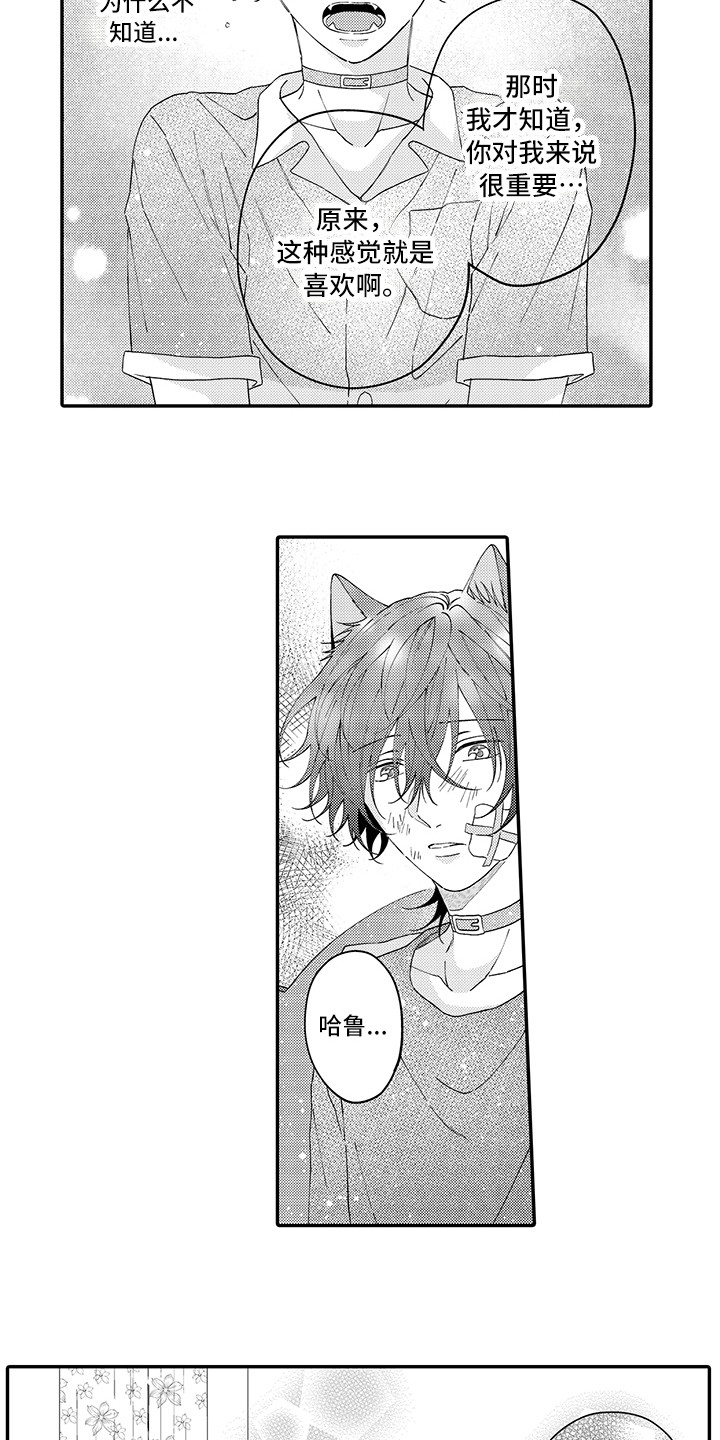 猫咪之家漫画,第20章：求救2图